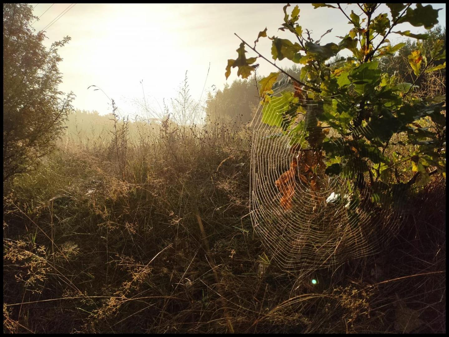 Hankowka Mazury Jerutki Exteriér fotografie