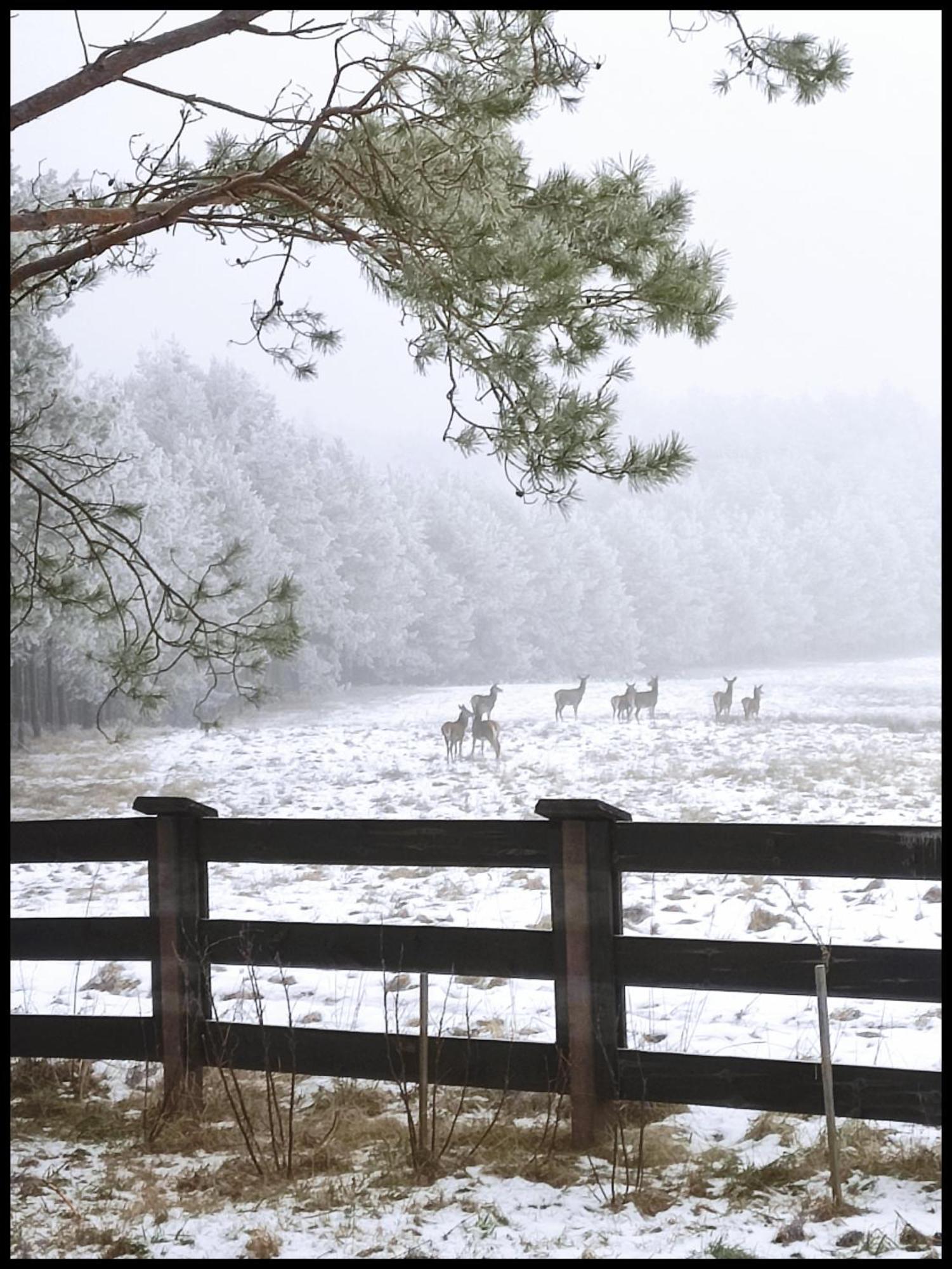 Hankowka Mazury Jerutki Exteriér fotografie